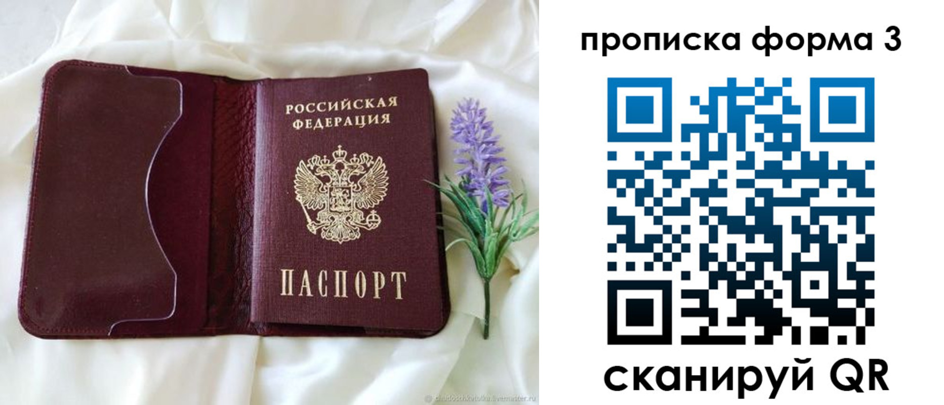 прописка 2025 в Чистополье